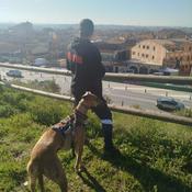 Podcast AlbertoTVseries