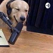 Podcast ALL SORTS PODCAST