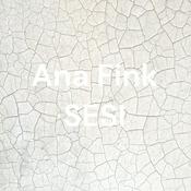 Podcast Ana Fink SESI