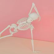 Podcast Anatomie onderweg 
Dé podcast voor studenten verpleegkunde en vroedkunde.