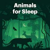 Podcast Animals for Sleep