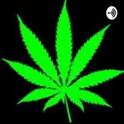 Podcast Anything And Everything High