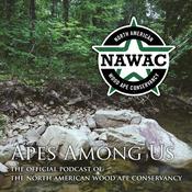 Podcast Apes Among Us