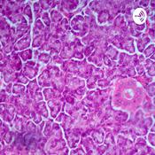 Podcast Avventure all’uni