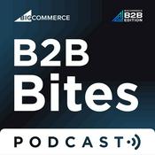 Podcast B2B Bites