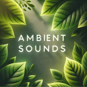 Podcast Ambient Sounds