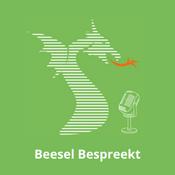 Podcast Beesel Bespreekt | P&amp;M