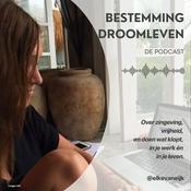 Podcast Bestemming Droomleven