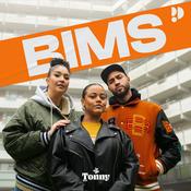 Podcast BIMS