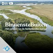 Podcast BinnensteBuiten 3D audio