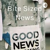 Podcast Bite Sized News