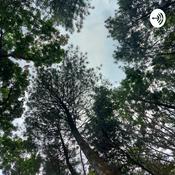 Podcast Bupati Of Blangkon Podcast