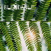 Podcast Blendable: The Confluence of Beauty and Reading