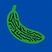 Podcast Brain Bananas H