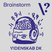 Brainstorm