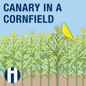 Podcast Canary In A Cornfield