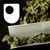 Podcast Cannabis, Consciousness and the Imagination - for iPod/iPhone