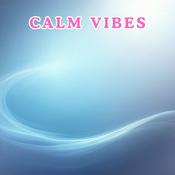 Podcast Chaos to Calm