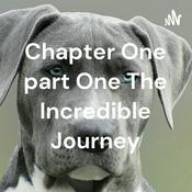 Podcast Chapter One part One The Incredible Journey