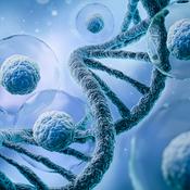 Podcast CHO Talks: A deep dive into expression approaches for biotherapeutics