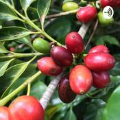 Podcast Coffee and Things (コーヒー&シングス)
