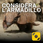 Podcast Considera l’armadillo