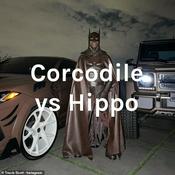 Podcast Corcodile vs Hippo