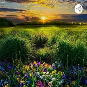 Podcast Creating Community with Colorful Conversation