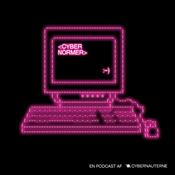 Cybernormer