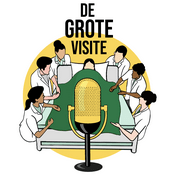 Podcast De Grote Visite