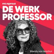 Podcast De Werkprofessor