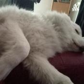 Podcast Di Tutto Un Po'