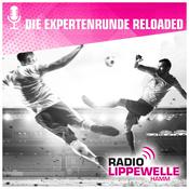 Podcast Die Expertenrunde reloaded