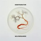 Disintegrator