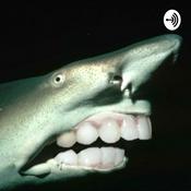 Podcast DMYB Podcast