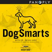 DogSmarts