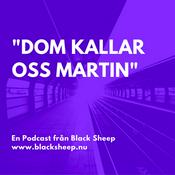 Podcast Dom kallar oss Martin