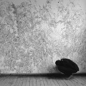 Podcast Drawing Photography Archive van Anouk Griffioen