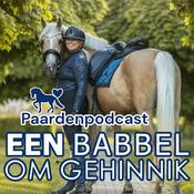 Podcast Een Babbel Om Gehinnik