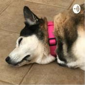 Podcast Elaborating on things and stuff