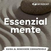 Podcast Essenzialmente | Dr Podcast Audio Factory