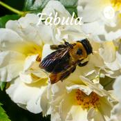 Podcast Fábula : El Oso Y Las Abejas