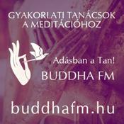 Podcast Fél Lótusz