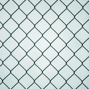 Podcast Fragile X Syndrome