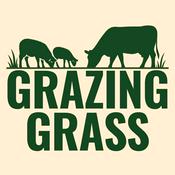 Podcast Grazing Grass Podcast | Rotational Grazing, Soil Health & Profitable Livestock Farming