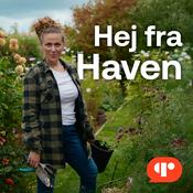 Podcast Hej fra Haven