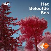 Podcast Het Beloofde Bos