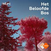 Podcast Het Beloofde Bos