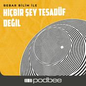 Hiçbir Şey Tesadüf Değil
