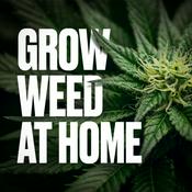 Podcast Grow Weed at Home
